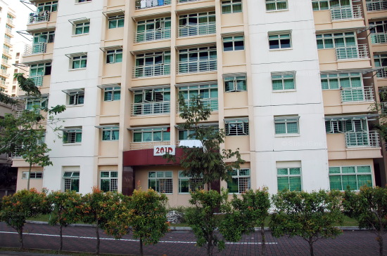 Punggol Field thumbnail photo